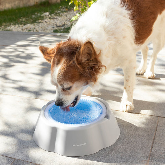 Cooling Pet Water Bowl (450ml)